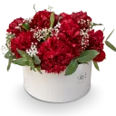 Box červených pivoněk